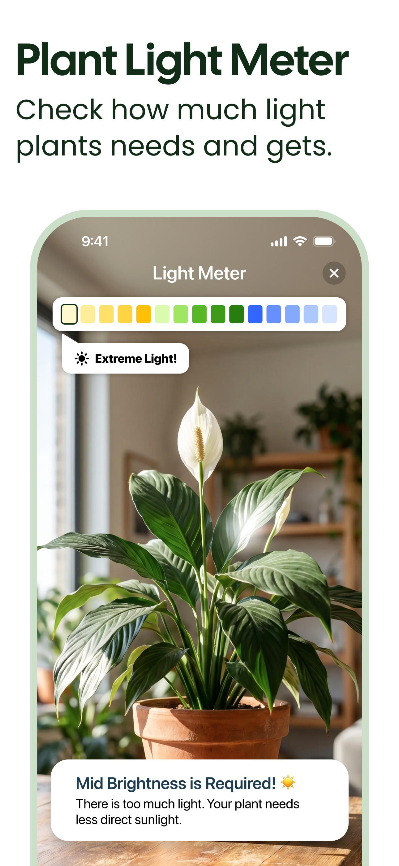 اسکرین شات 4 برنامه Plant App - Plant Identifier