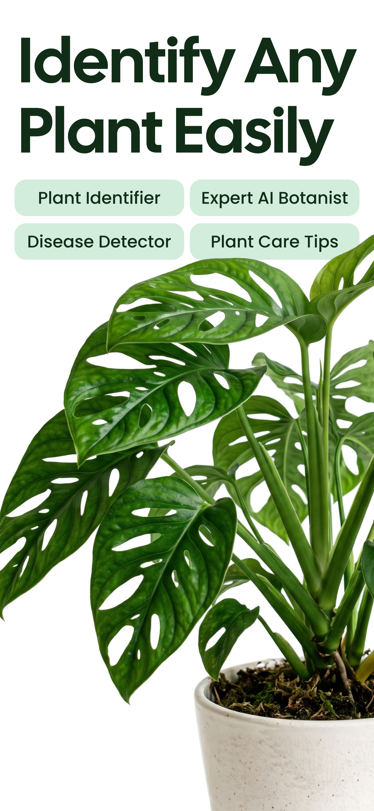 اسکرین شات 1 برنامه Plant App - Plant Identifier