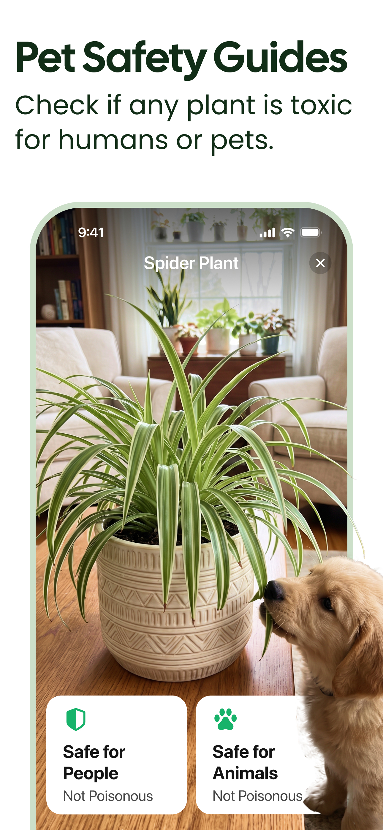اسکرین شات 6 برنامه Plant App - Plant Identifier