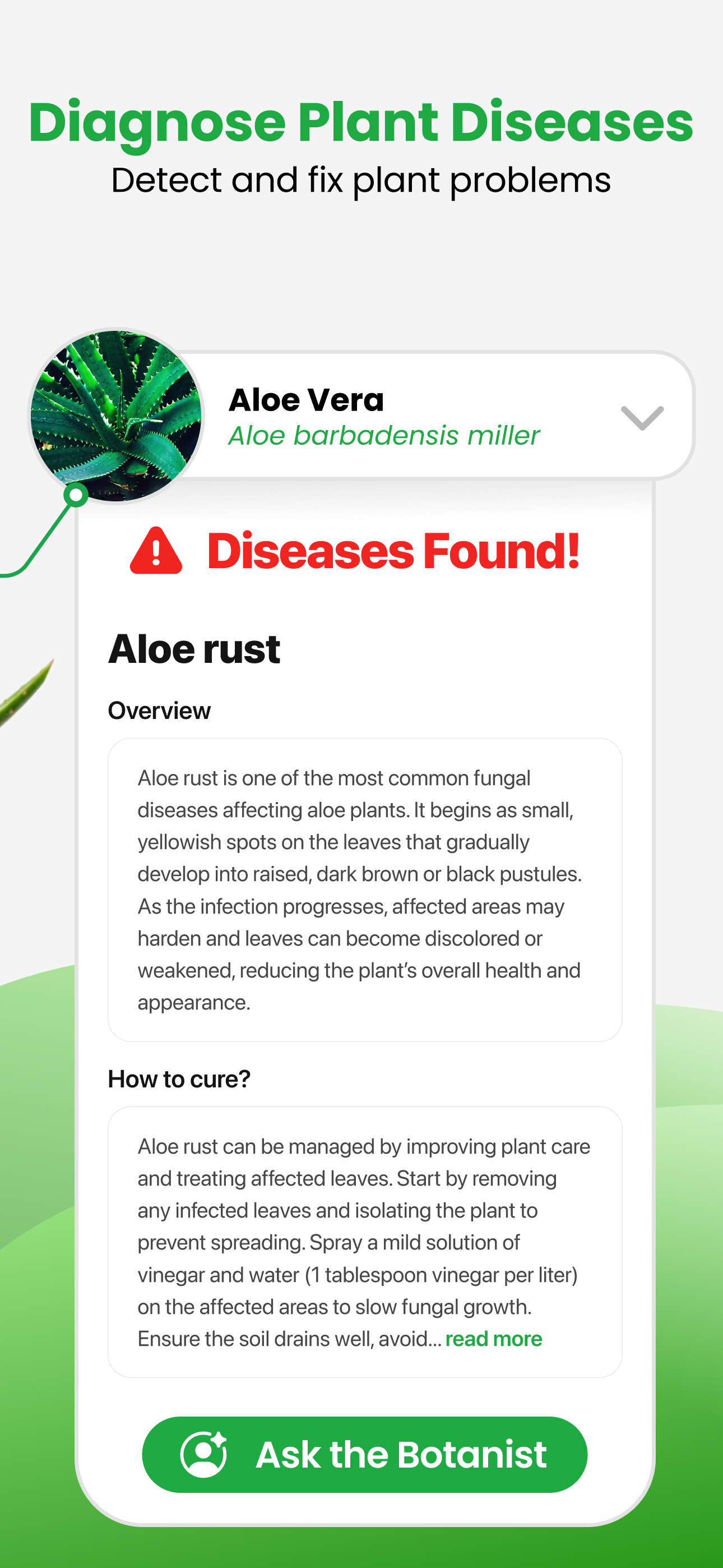 اسکرین شات 3 برنامه Plant App - Plant Identifier