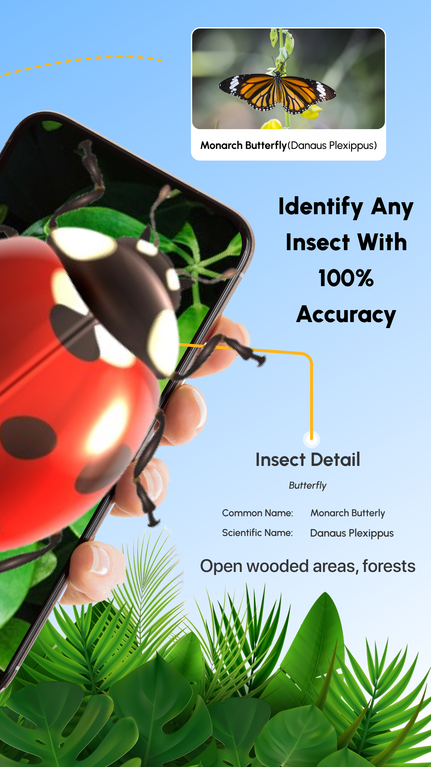 اسکرین شات 2 برنامه Insect Identifier App
