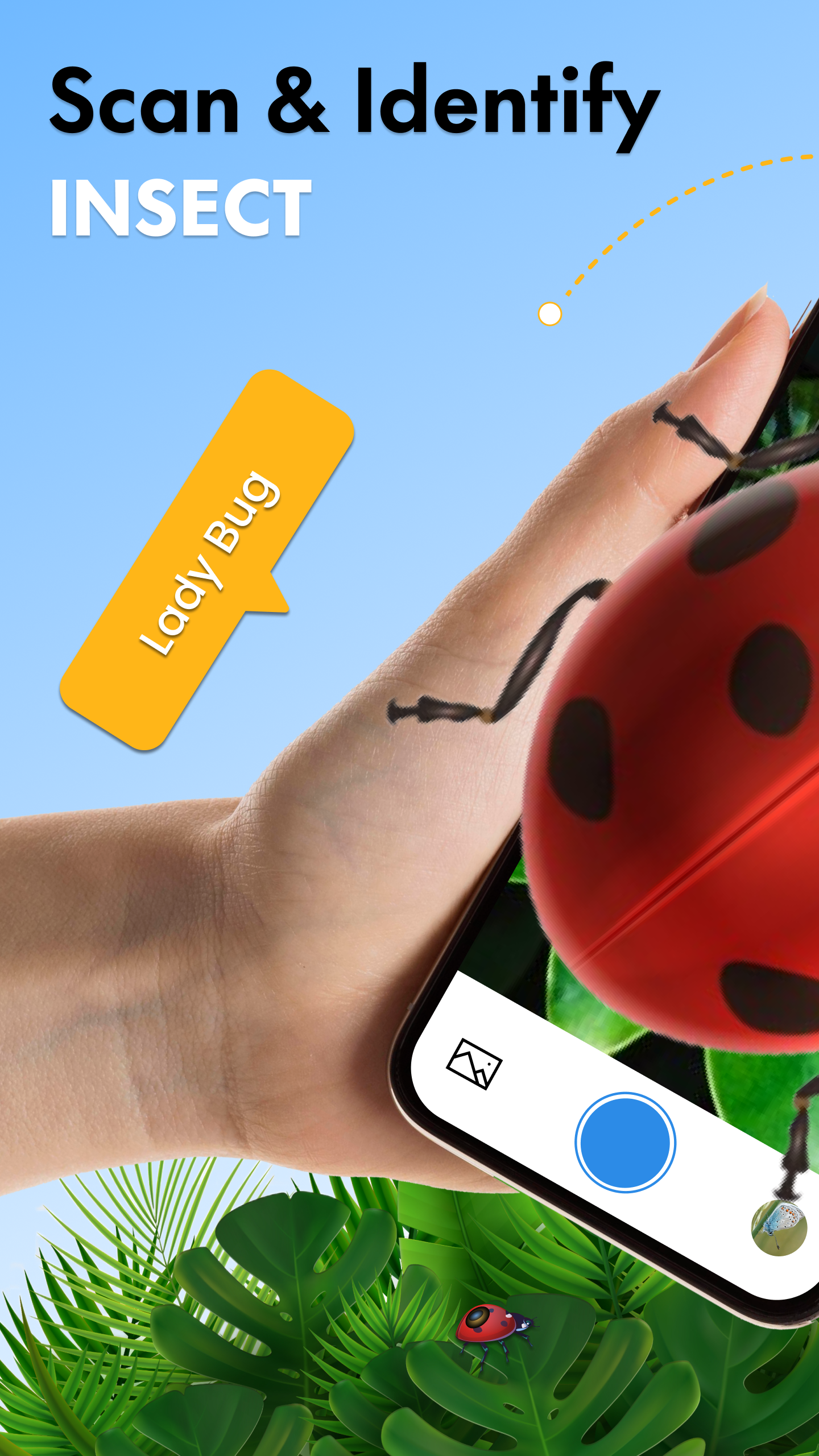 اسکرین شات 1 برنامه Insect Identifier App