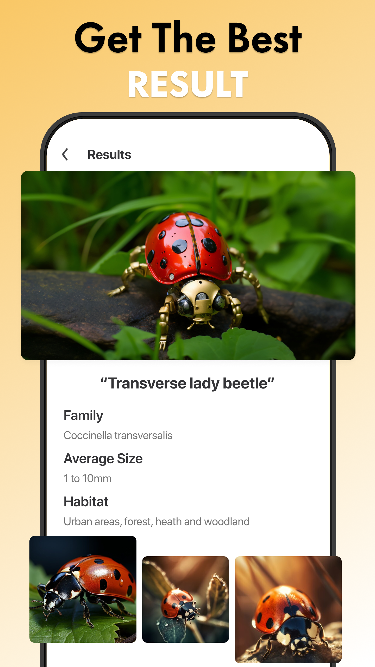 اسکرین شات 3 برنامه Insect Identifier App