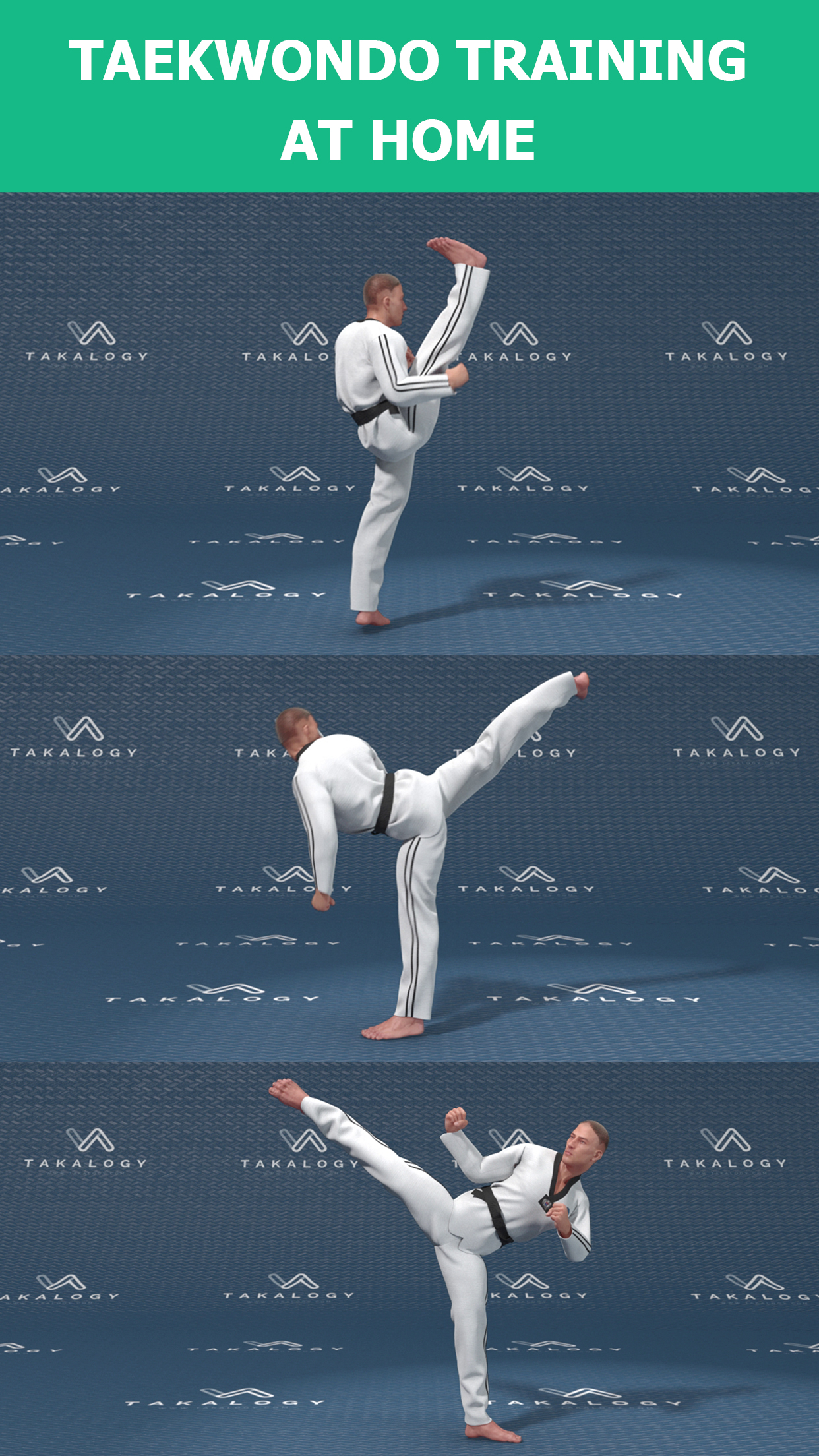 اسکرین شات 2 برنامه Mastering Taekwondo at Home
