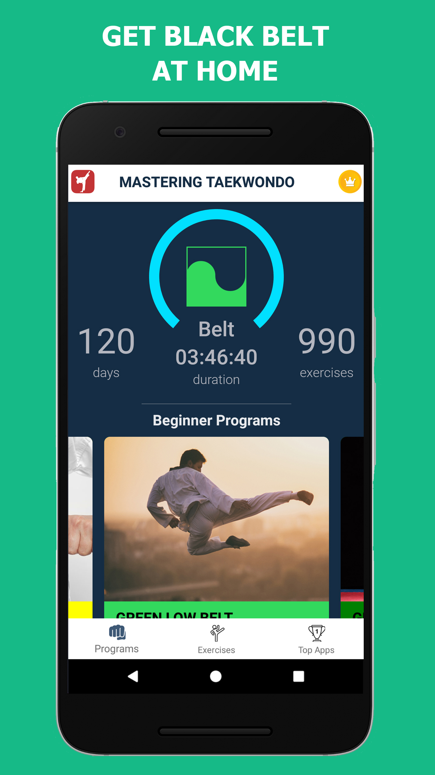 اسکرین شات 3 برنامه Mastering Taekwondo at Home