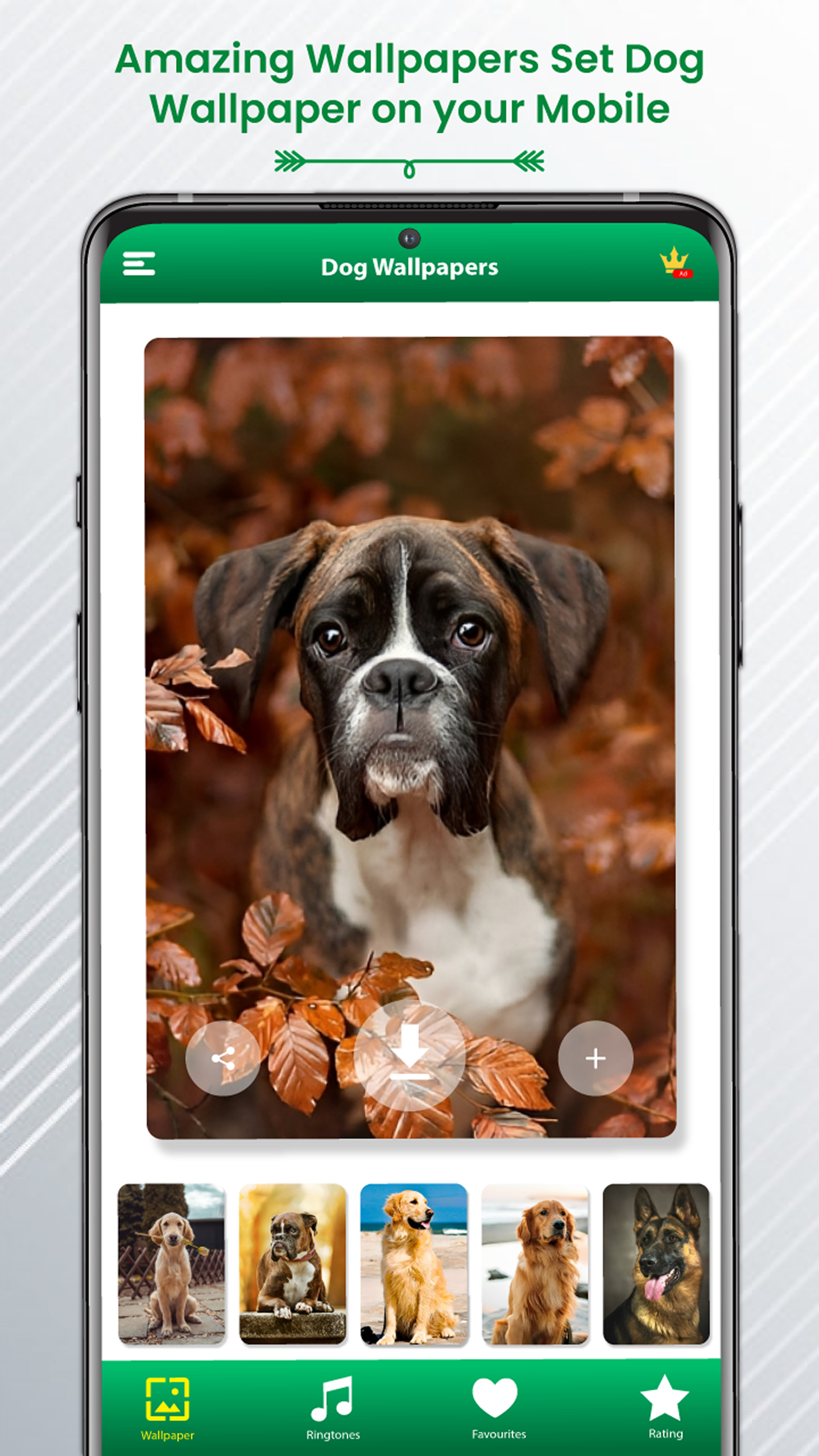 اسکرین شات 6 برنامه Dog Sound Ringtones Wallpapers