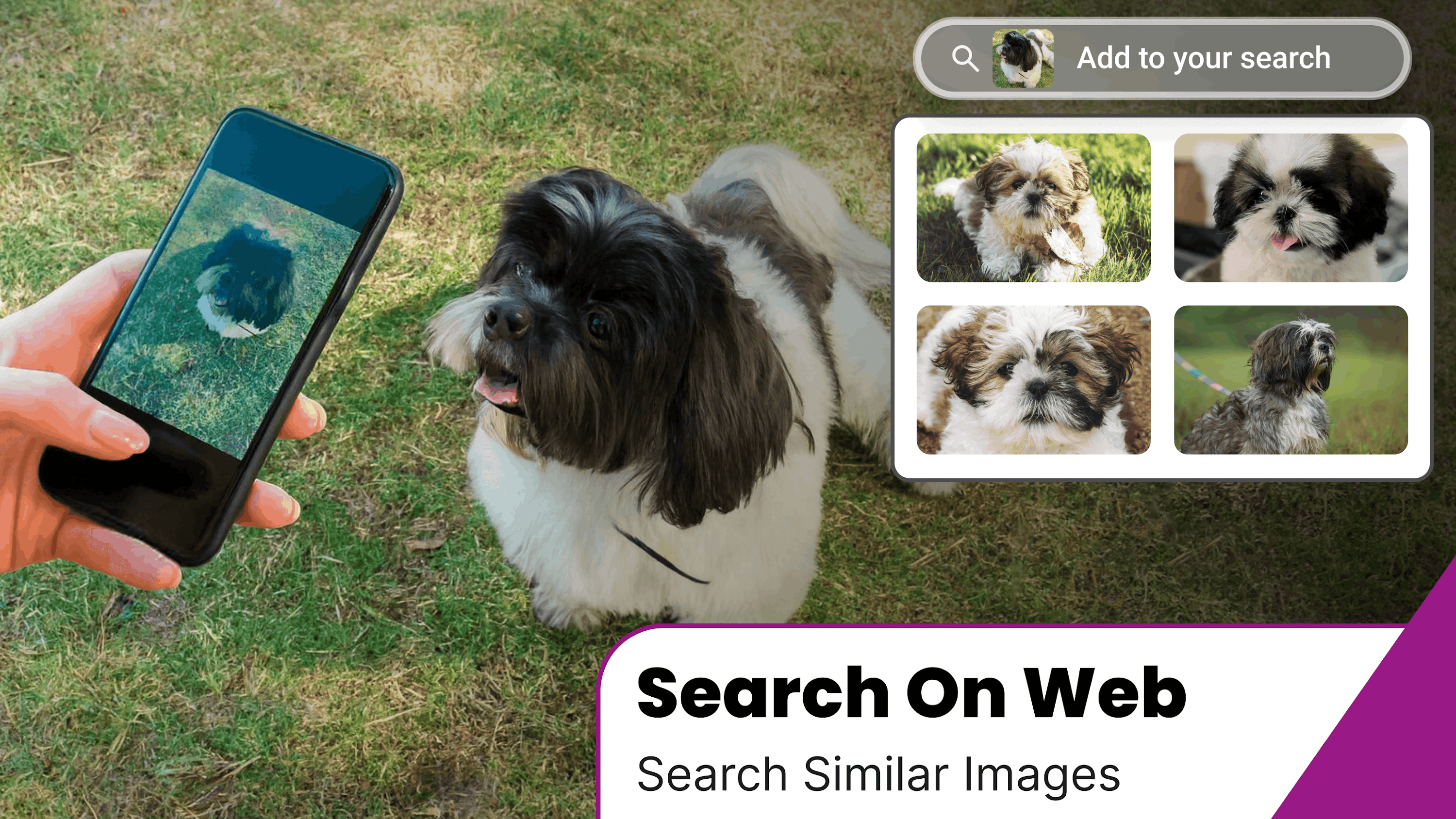 اسکرین شات 5 برنامه AI Lens: Object Identifier