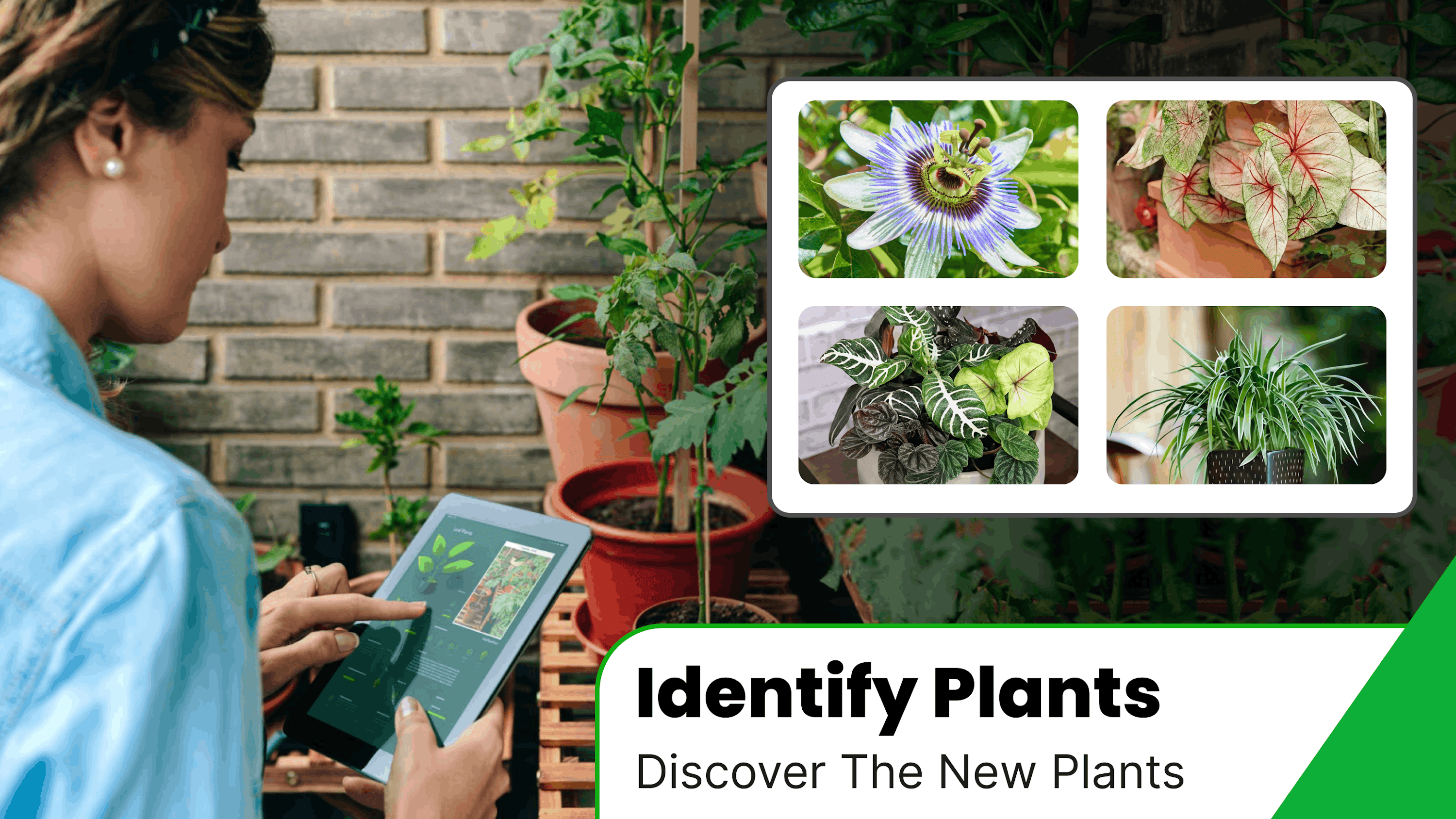 اسکرین شات 2 برنامه AI Lens: Object Identifier