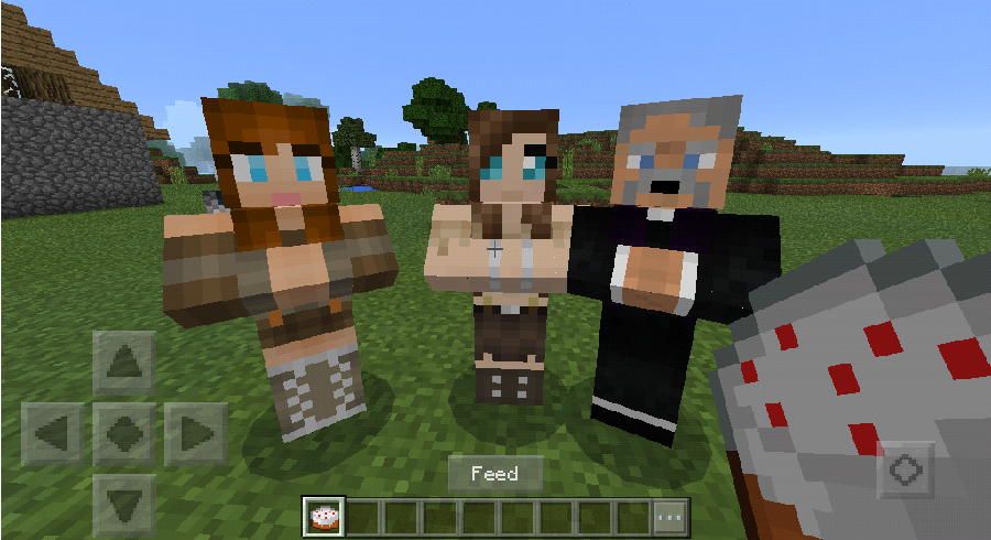 اسکرین شات 4 بازی Comes alive  village addon