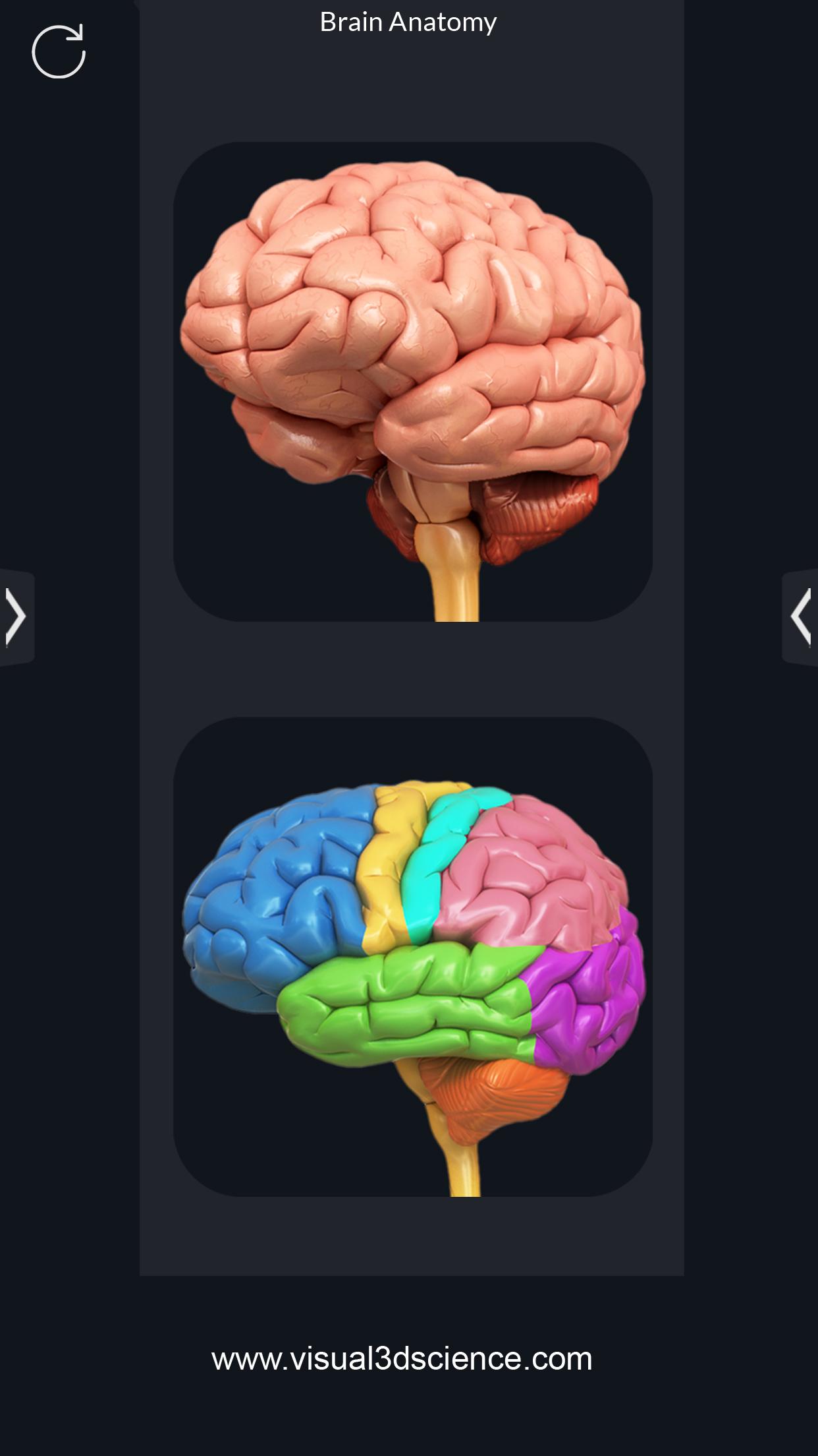 اسکرین شات 1 برنامه Brain Anatomy Pro.
