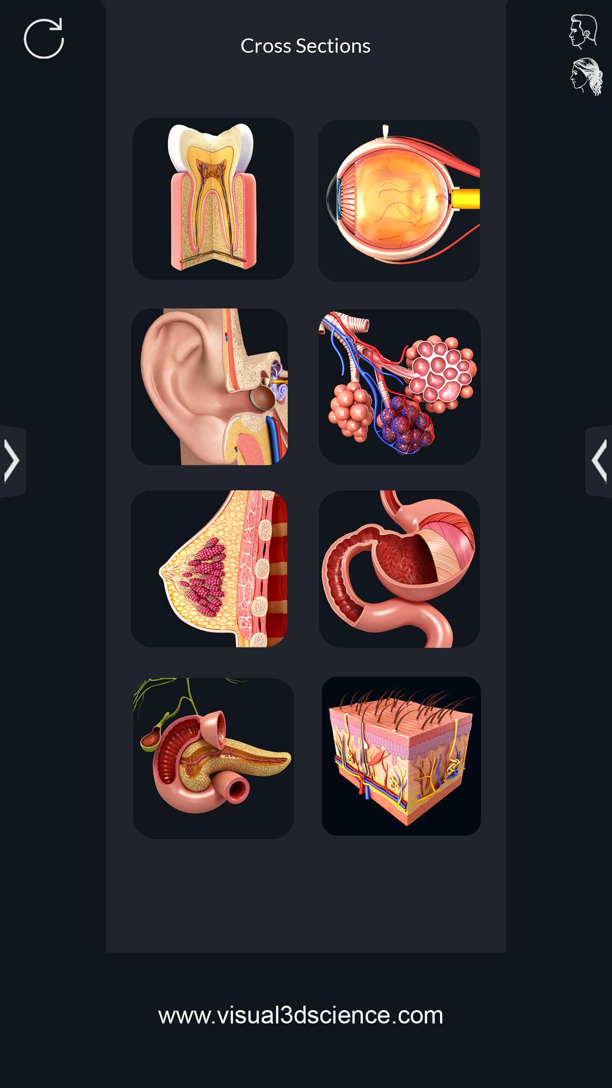 اسکرین شات 5 برنامه Human Anatomy