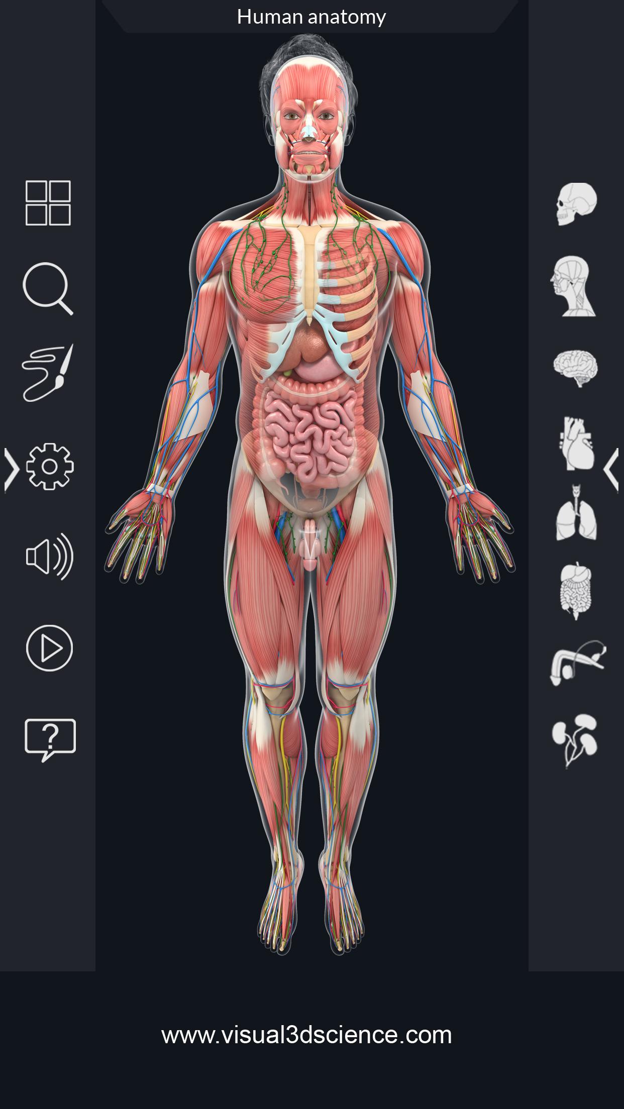 اسکرین شات 2 برنامه Human Anatomy