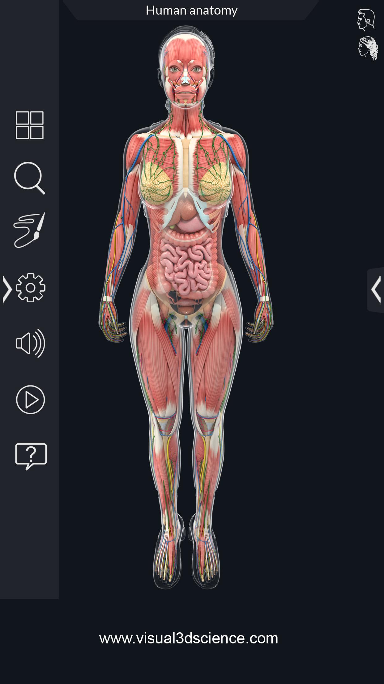 اسکرین شات 1 برنامه Human Anatomy