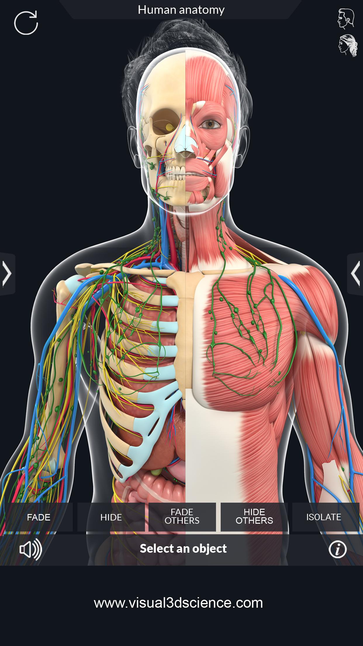 اسکرین شات 3 برنامه Human Anatomy