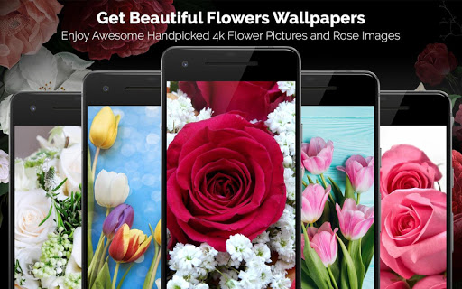 اسکرین شات 1 برنامه Cool 4k Wallpapers : WallFresh