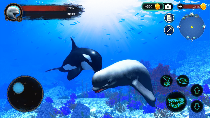 اسکرین شات 1 بازی The Beluga Whale