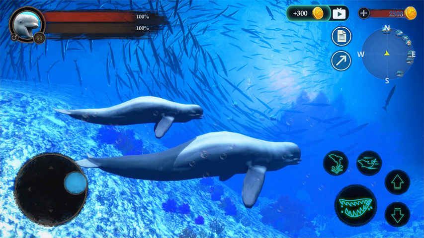 اسکرین شات 6 بازی The Beluga Whale