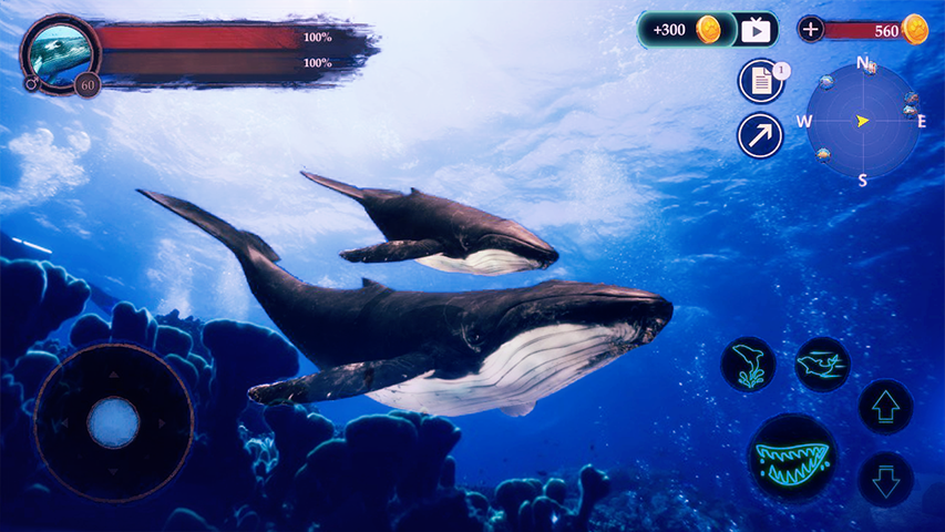 اسکرین شات 1 بازی The Humpback Whales