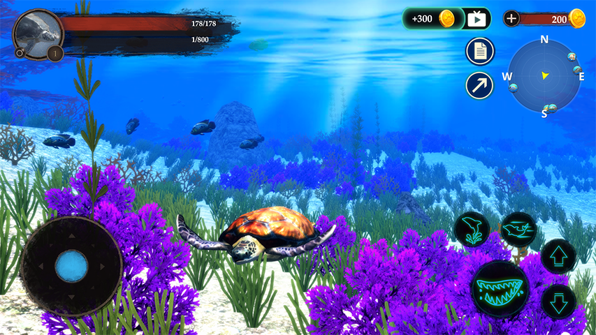 اسکرین شات 3 بازی The Turtle