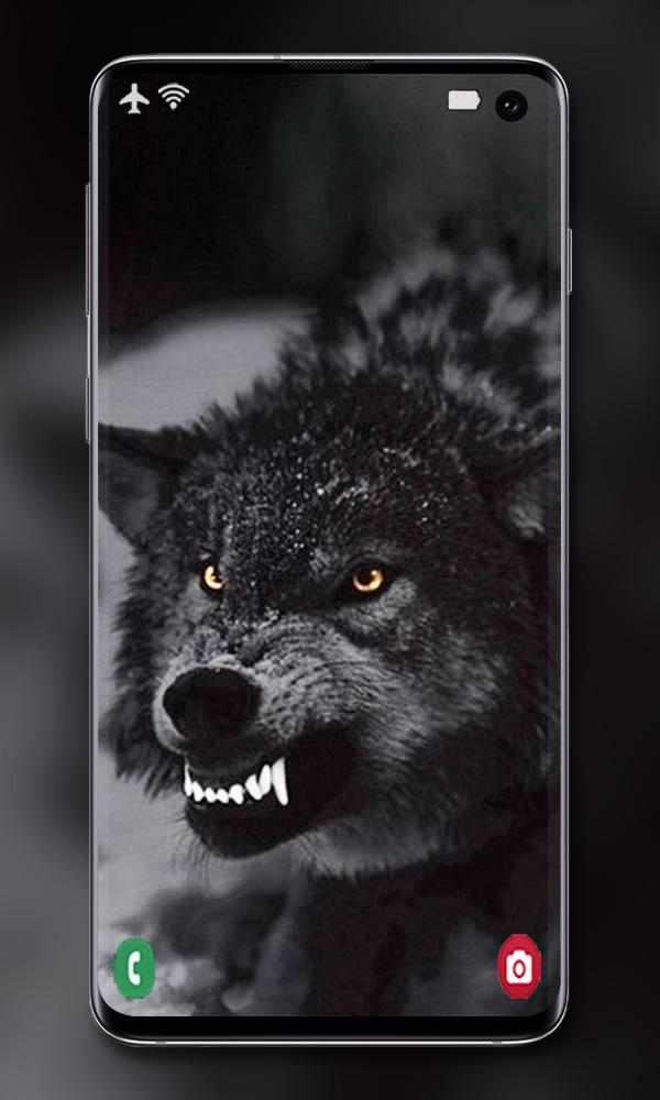 اسکرین شات 6 برنامه Wolf Wallpaper