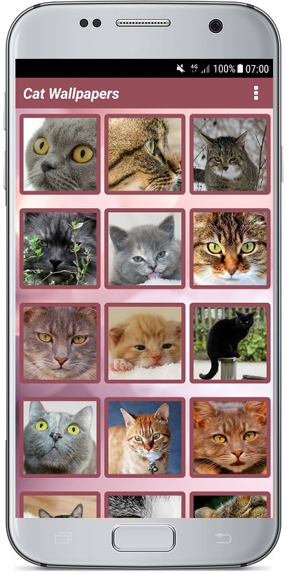 اسکرین شات 3 برنامه CUTE CAT WALLPAPERS