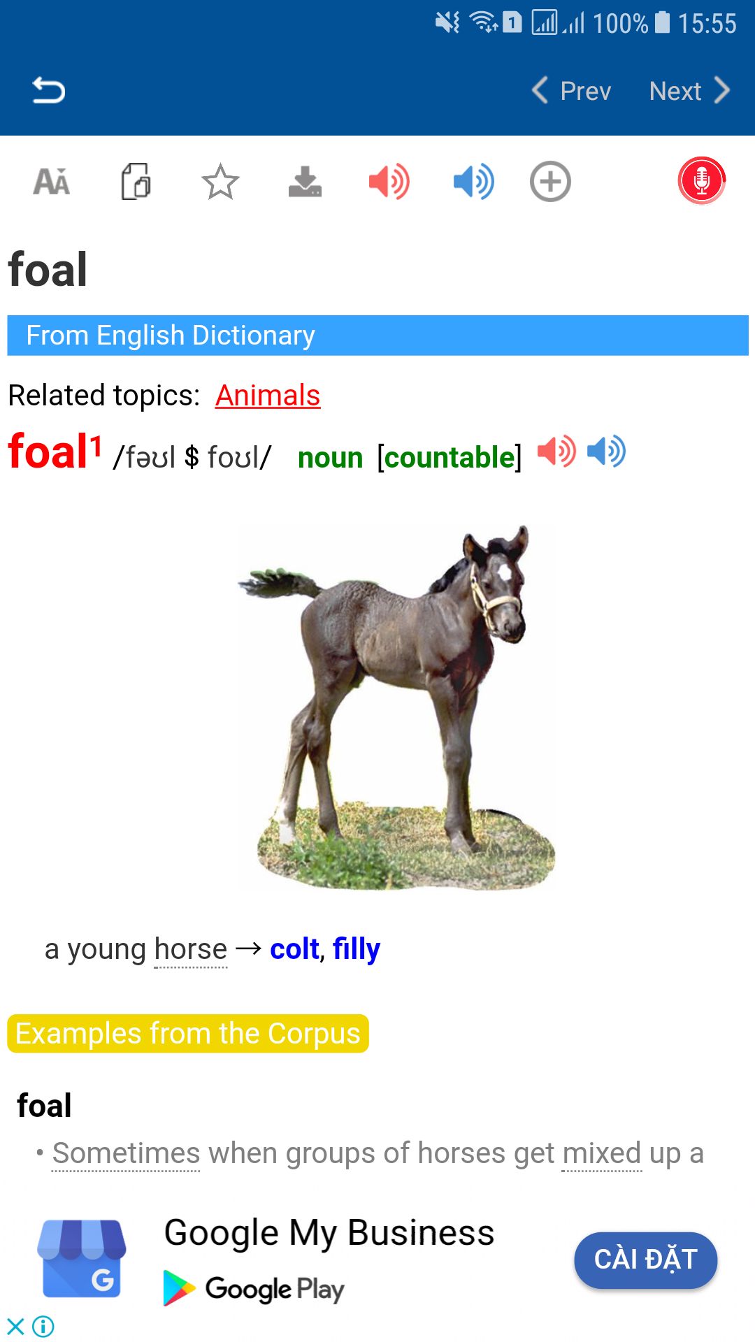 اسکرین شات 5 برنامه لانگ من (Longman Dictionary English)