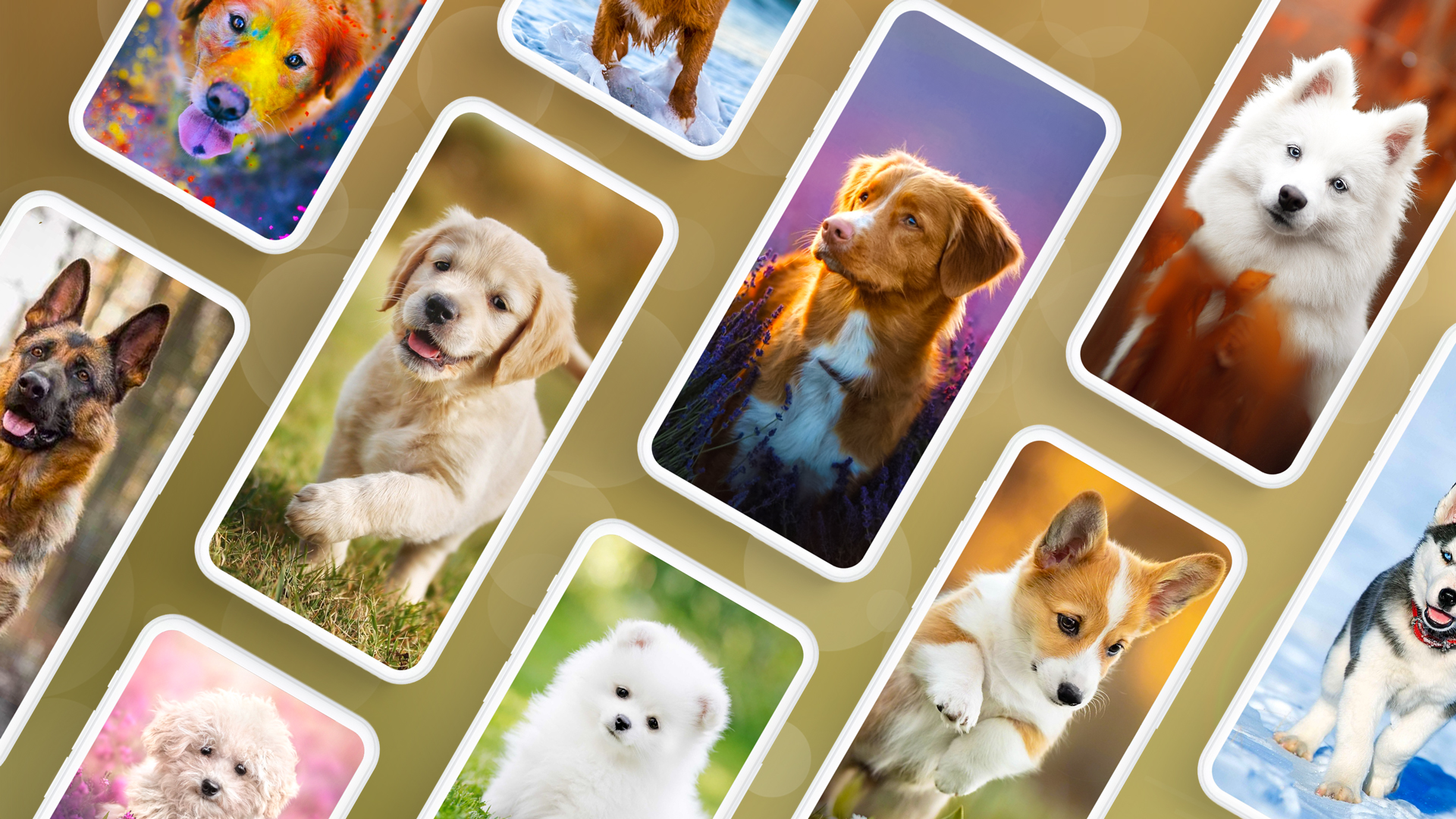 اسکرین شات 1 برنامه Dog Wallpapers & Puppy 4K