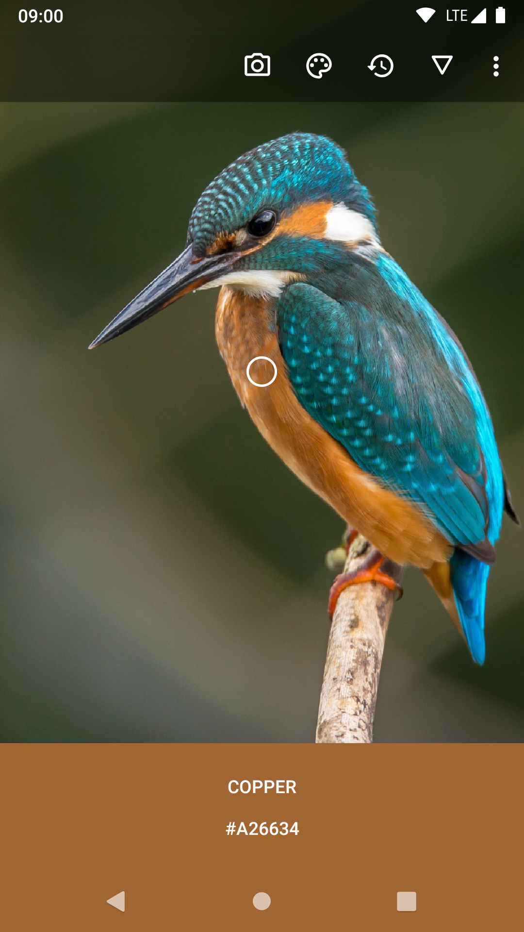 اسکرین شات 1 برنامه Color Picker