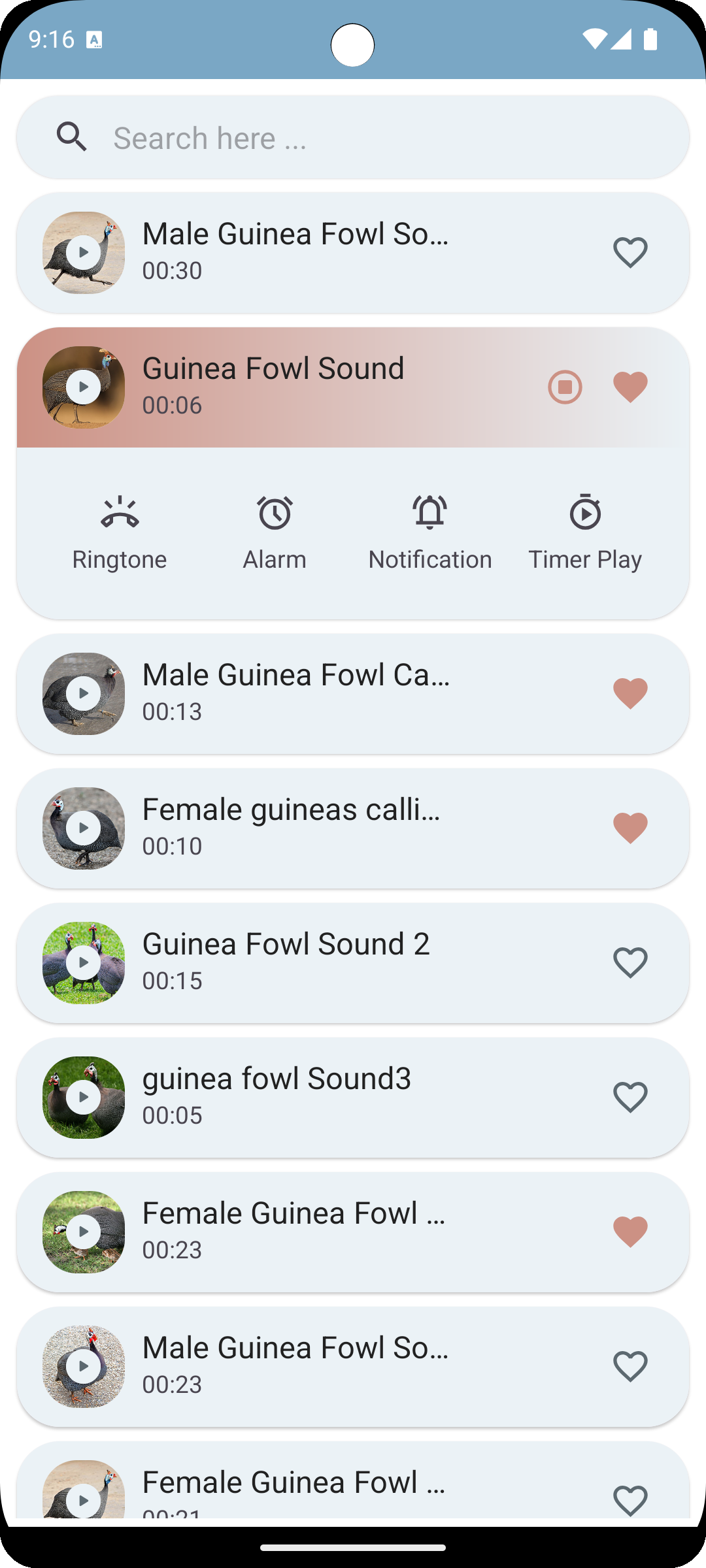 اسکرین شات 4 برنامه Guinea Fowl Sounds