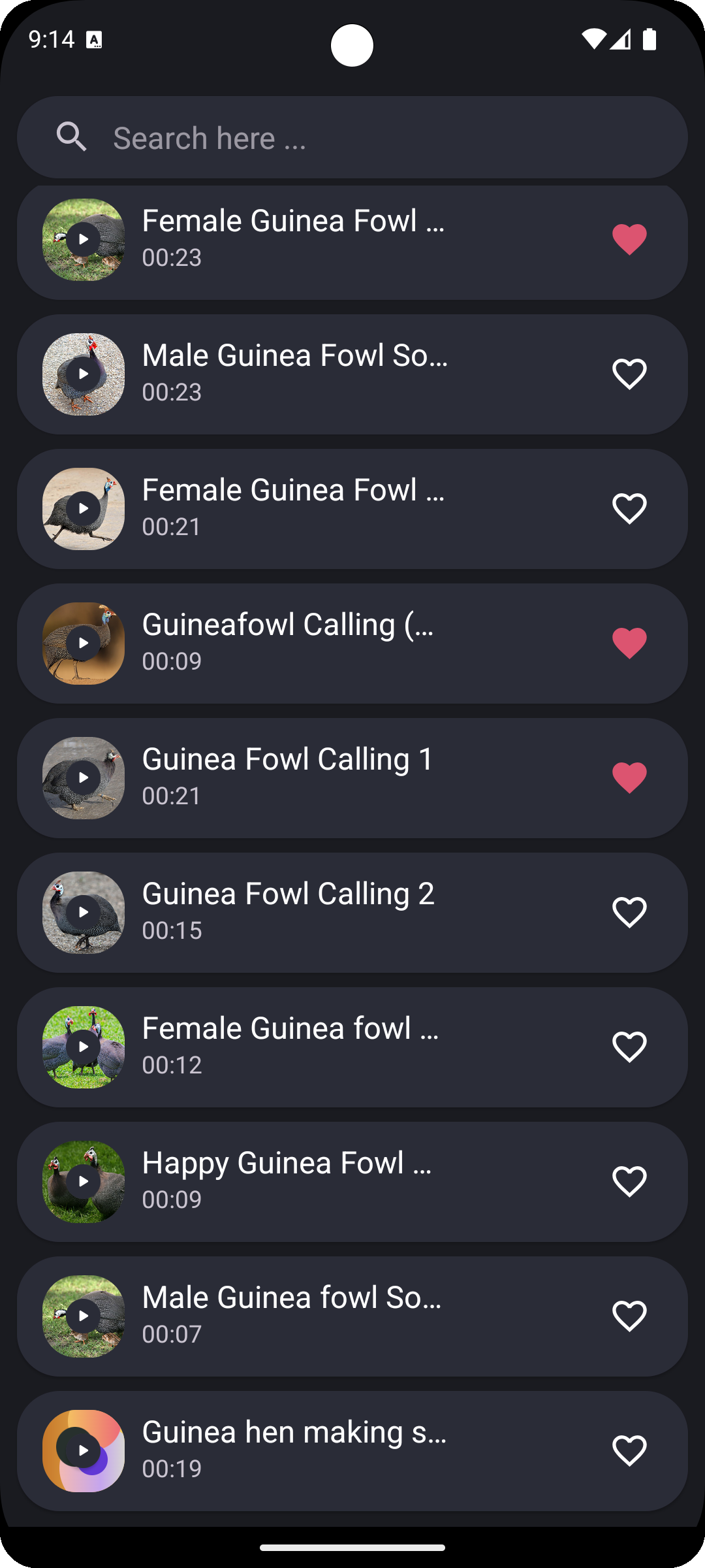 اسکرین شات 3 برنامه Guinea Fowl Sounds
