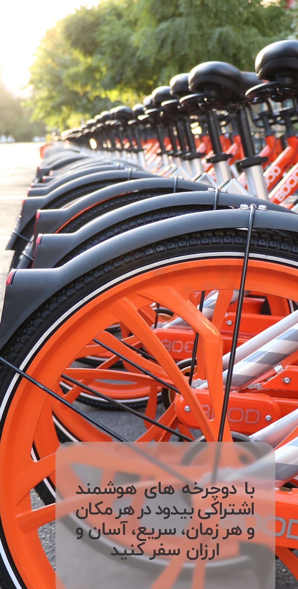 اسکرین شات 1 برنامه بیدود