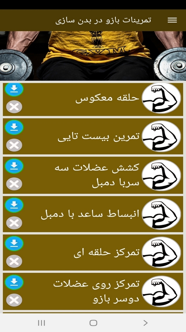 اسکرین شات 2 برنامه تمرینات بازو در بدن سازی