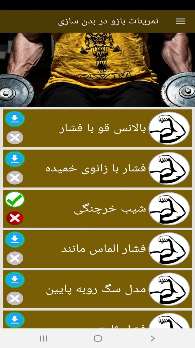 اسکرین شات 12 برنامه تمرینات بازو در بدن سازی