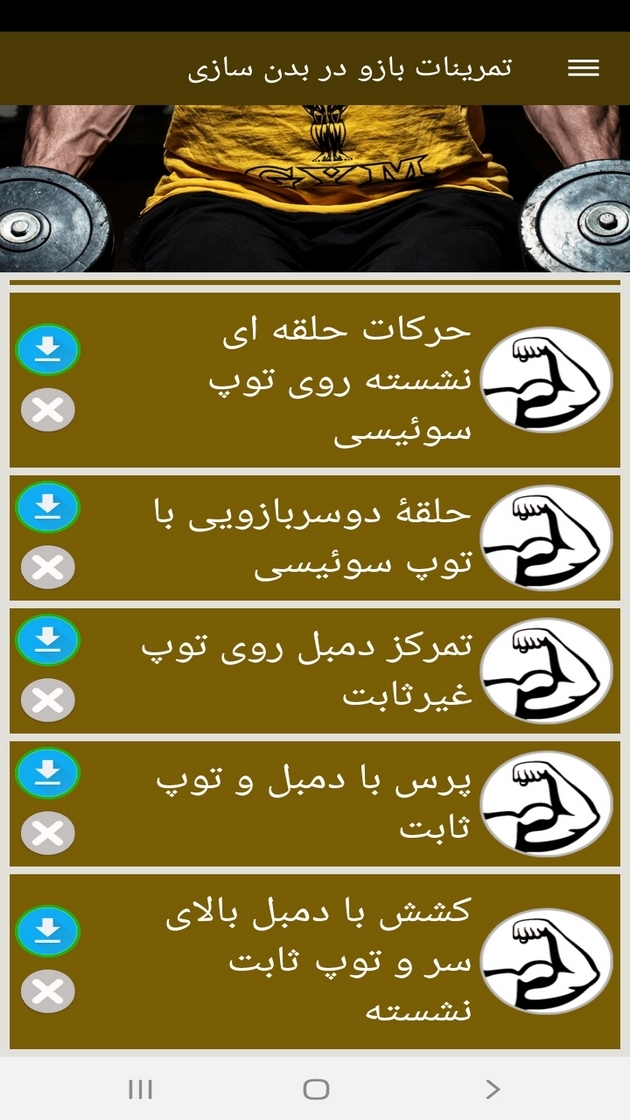 اسکرین شات 3 برنامه تمرینات بازو در بدن سازی