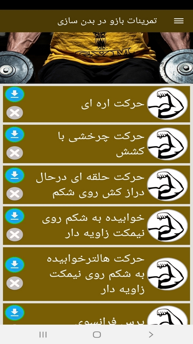 اسکرین شات 4 برنامه تمرینات بازو در بدن سازی