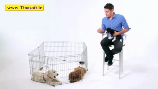 اسکرین شات 6 برنامه آموزش نگهداری و تربیت سگ های خانگی