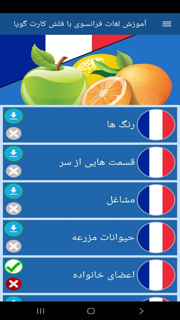 اسکرین شات 7 برنامه ‏آموزش لغات فرانسوی با فلش کارت گویا