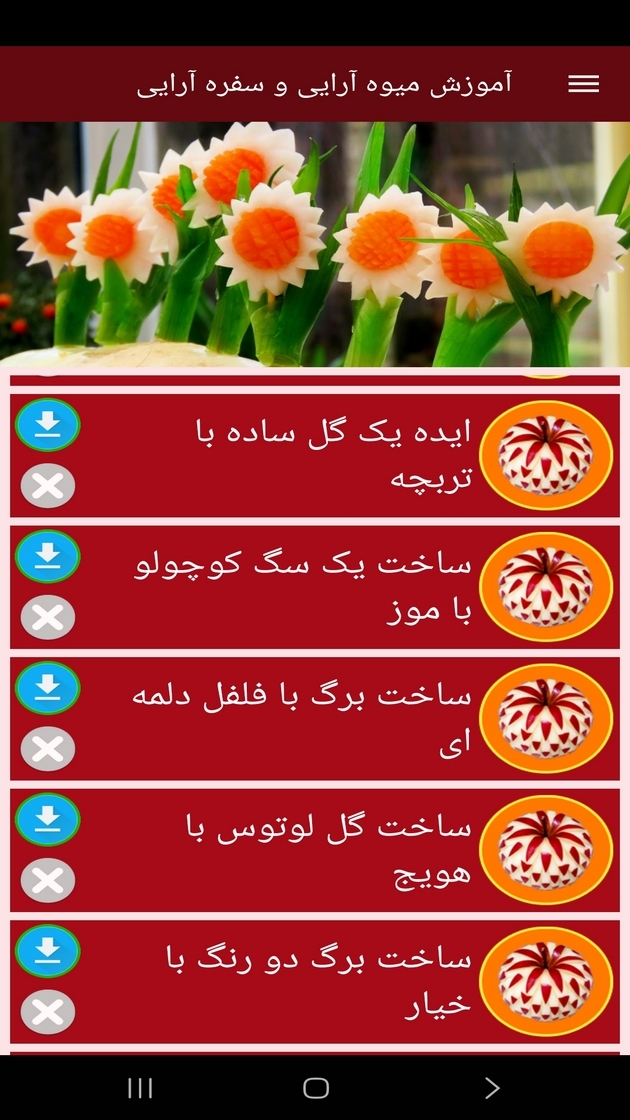 اسکرین شات 8 برنامه آموزش میوه آرایی و سفره آرایی