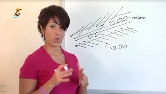 اسکرین شات 8 برنامه مراقبت و طراحی مدل موی بانوان