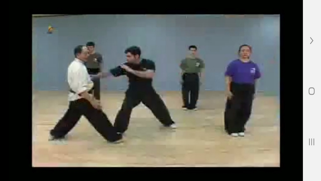 اسکرین شات 8 برنامه آموزش کونگ فو