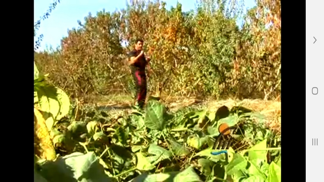 اسکرین شات 12 برنامه آموزش ایروبیک موی تای (رزمی)