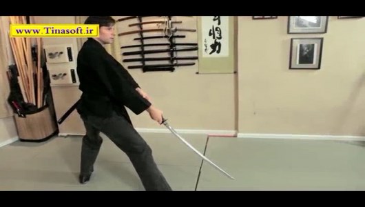 اسکرین شات 2 برنامه آموزش هنر رزمی نینجوتسو