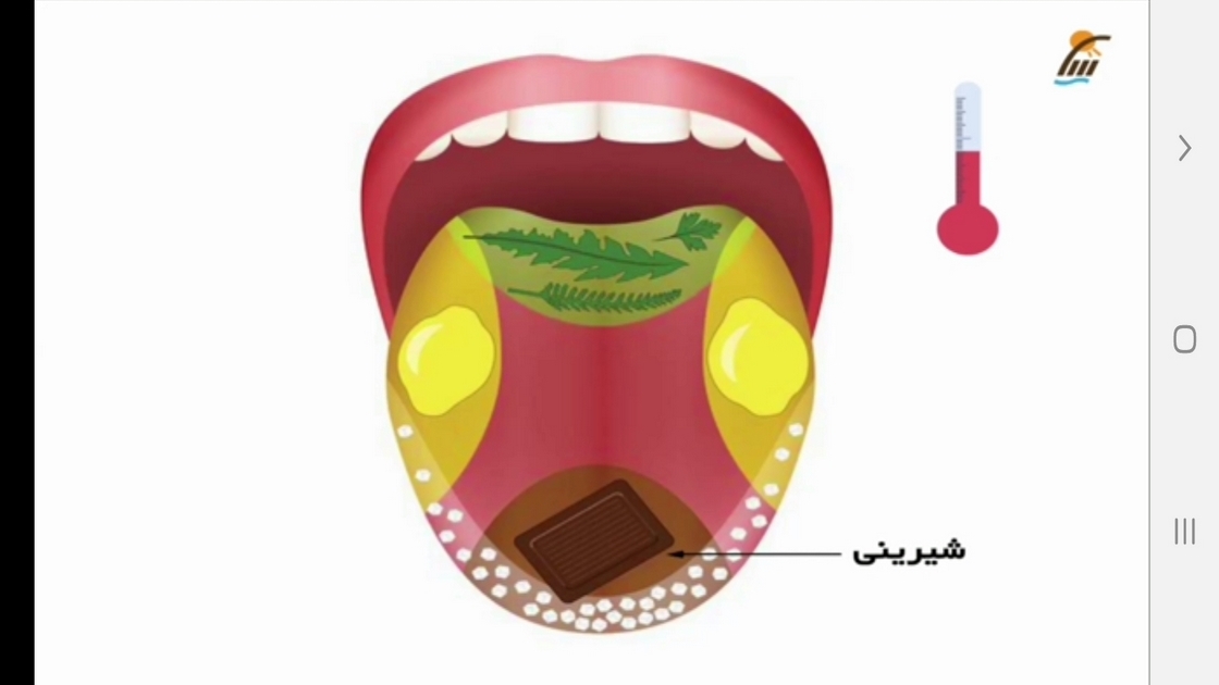 اسکرین شات 3 برنامه علوم تجربی پنجم دبستان-آموزش و آزمون