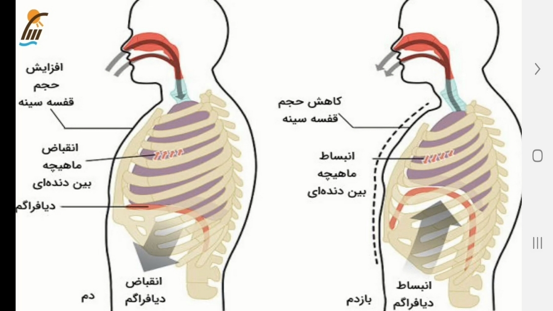 اسکرین شات 4 برنامه علوم تجربی پایه هفتم - آموزش و آزمون