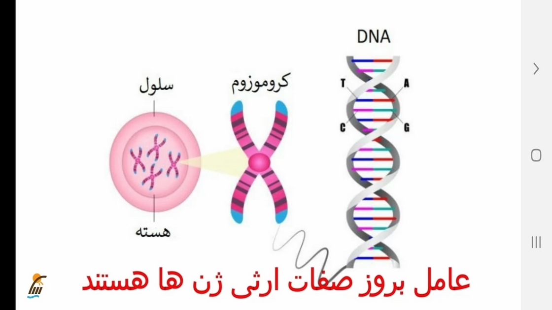 اسکرین شات 3 برنامه علوم تجربی پایه هشتم - آموزش و آزمون