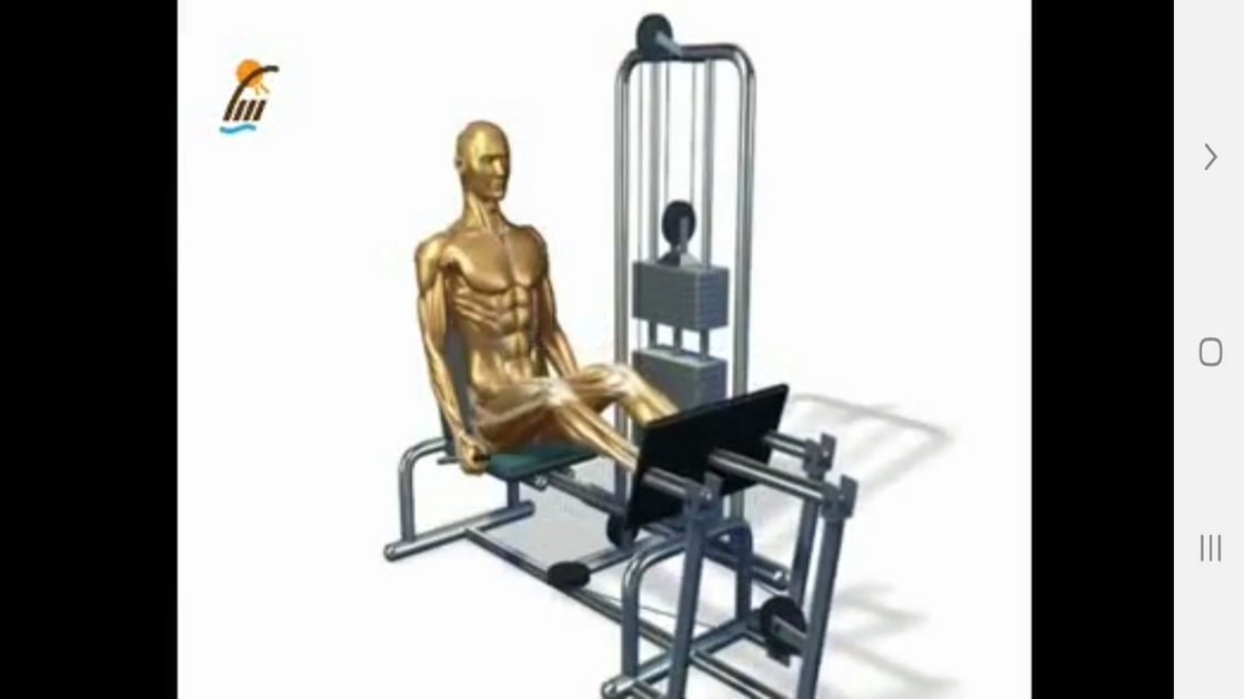 اسکرین شات 8 برنامه ‏تمرینات قدرتی و مقاومتی در بدن سازی
