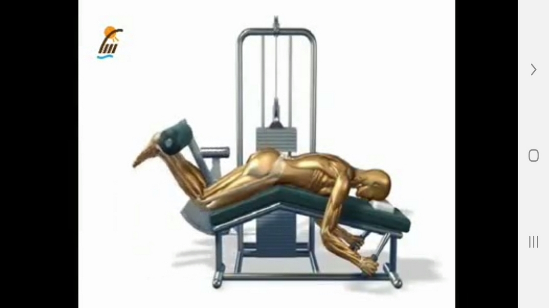 اسکرین شات 6 برنامه ‏تمرینات قدرتی و مقاومتی در بدن سازی