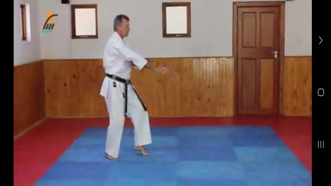 اسکرین شات 7 برنامه آموزش کاتا سبک شوتوکان کاراته