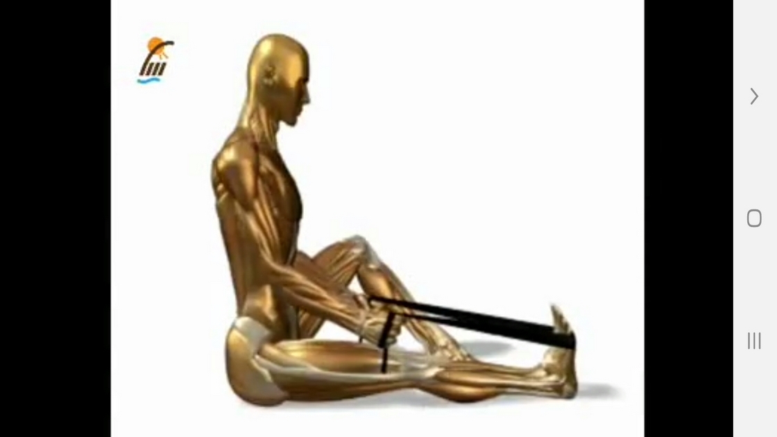 اسکرین شات 6 برنامه ‏تمرینات کششی مختلف عضلات بدن