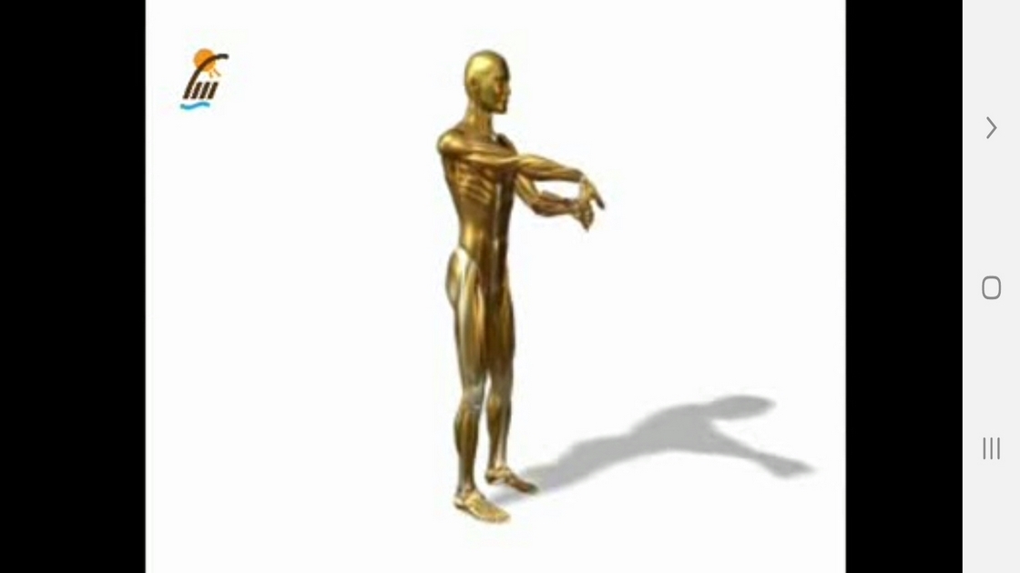 اسکرین شات 9 برنامه ‏تمرینات کششی مختلف عضلات بدن